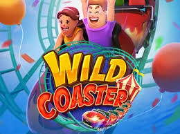 Wild Coaster